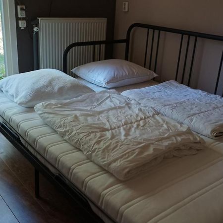 Bosbungalow De Eekhoorn 宁斯佩特 外观 照片